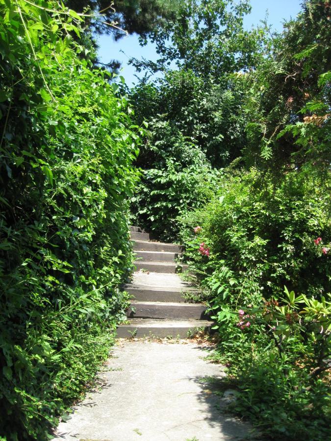 Danube View House With Garden Apartment Vienna Exterior photo