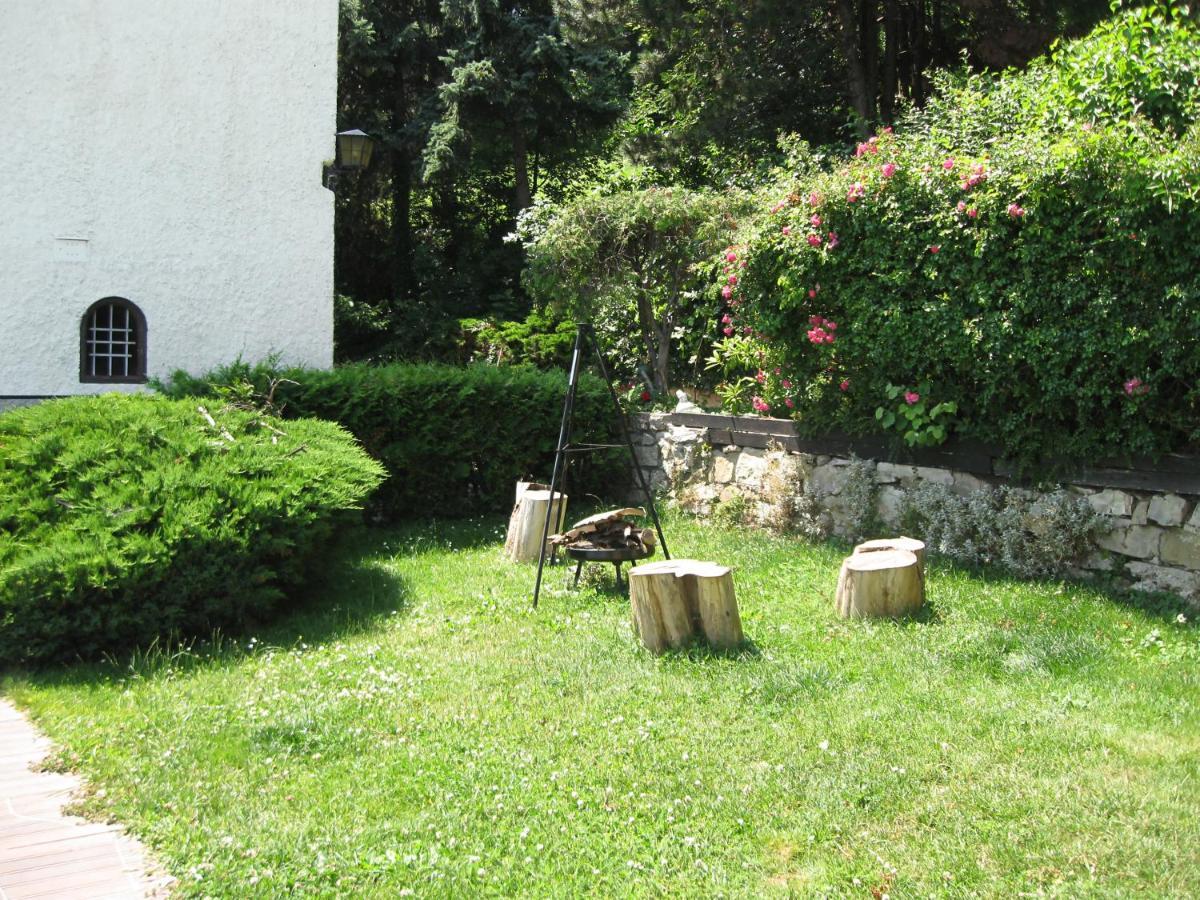 Danube View House With Garden Apartment Vienna Exterior photo